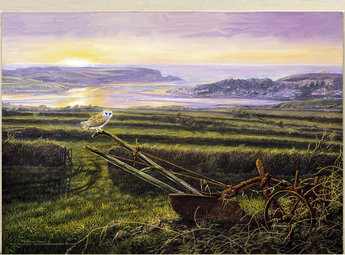 Image of Cornish Sunset, Barn Owl and Horse Drawn Plough, nr. Wadebridge, Cornwall